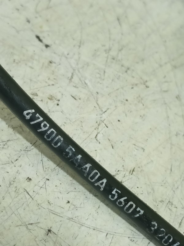 Датчик ABS задний правый Murano 2017 Z52 3.5