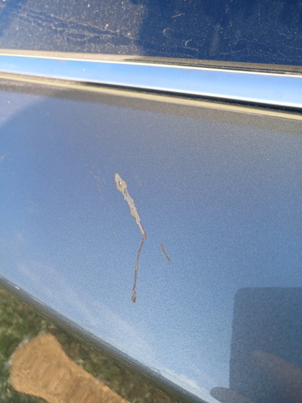 Двери задние левые Murano 2018 Z52 3.5 Двери задние левые Murano 2018 Z52 3.5