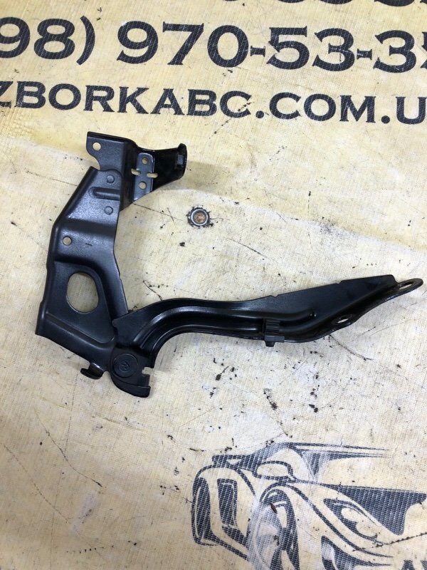 Петля капота передняя правая UX 2019 200 2.0 Петля капота передняя правая UX 2019 200 2.0