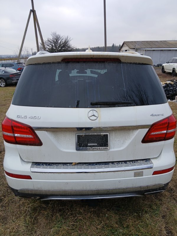 Дверь багажника задняя Mercedes-Benz GLS 450 4MATIC 2018 276 3.0 biturbo A1667405200 Б/У