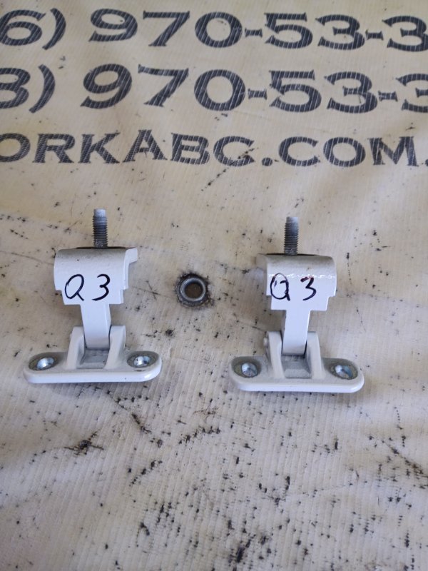 Петля замка багажника Q3 2021 83A 2.0 CZRA