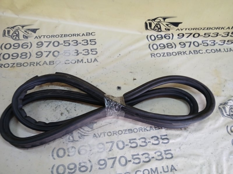Уплотнитель двери багажника задний X1 2020 F48 B46A20O1