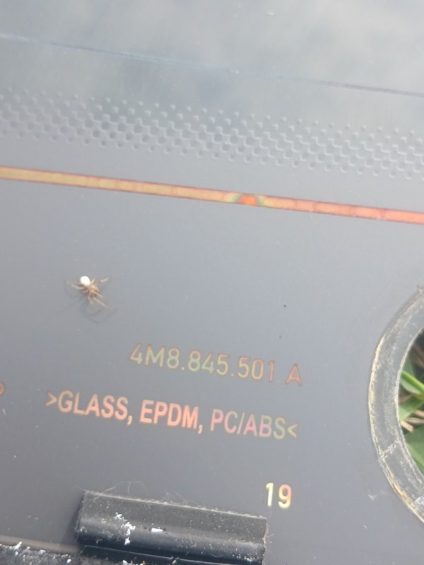 Стекло двери багажника заднее Q8 2019 DCBD Стекло двери багажника заднее Q8 2019 DCBD