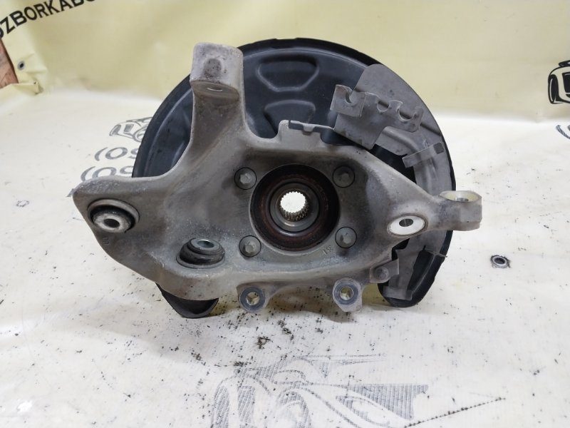 Цапфа задняя левая GLC 300 2019 X253 27492031635081 Цапфа задняя левая GLC 300 2019 X253 27492031635081