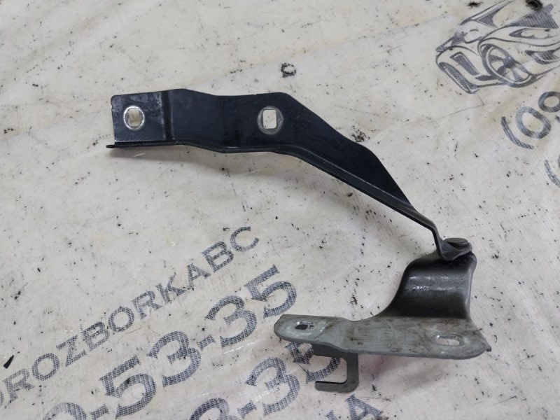 Петля капота передняя правая Ford Explorer 3.0 Петля капота передняя правая Ford Explorer 3.0