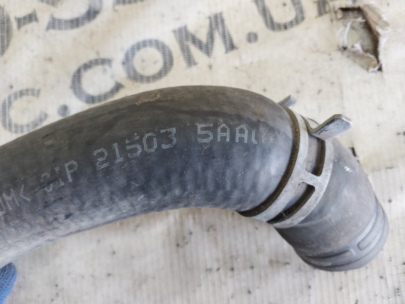 Трубка охлаждения Murano 2017 Z52 3.5