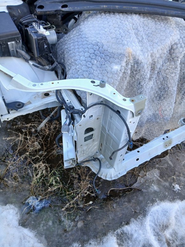 Телевизор/панель радиатора Legacy 2021 BW 2.4