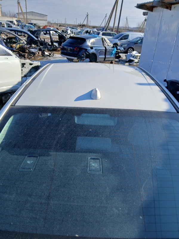 Крыша Legacy 2021 BW 2.4