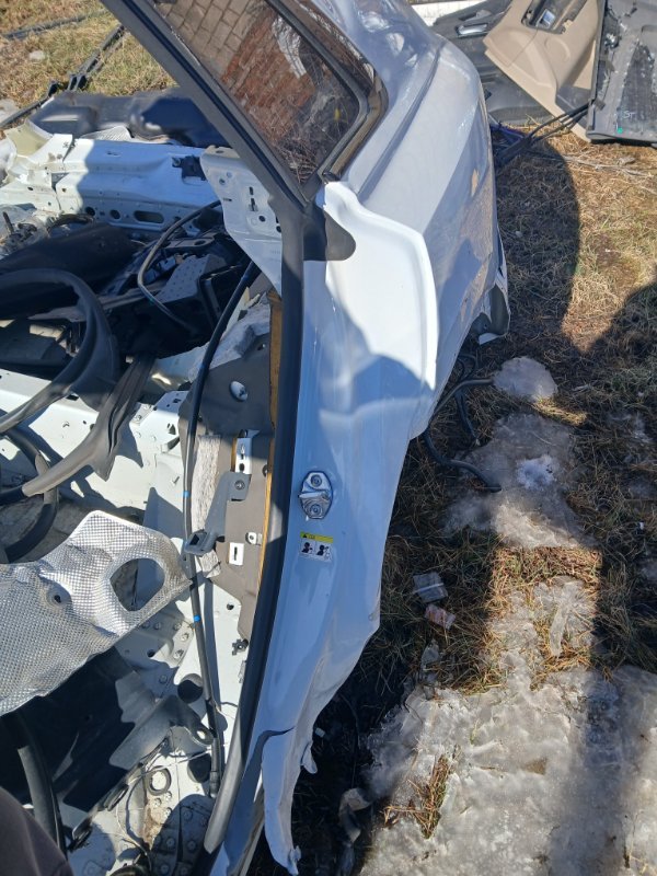 Четверть (крило) задний левый Q8 2019 DCBD