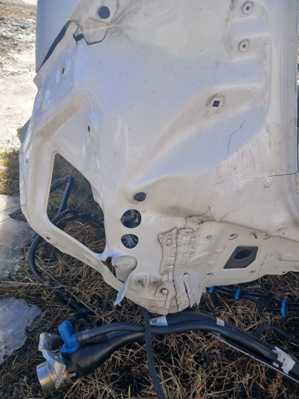 Четверть (крило) задний левый Q8 2019 DCBD