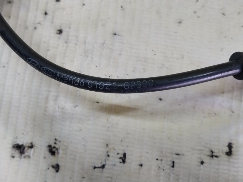 Датчик ABS задний правый Ioniq Hybrid 2019 1.6 DOHC - GDI