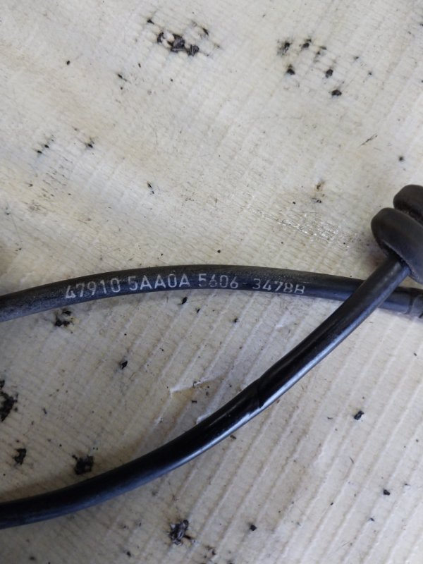 Датчик ABS передний Nissan Murano Z52 3.5