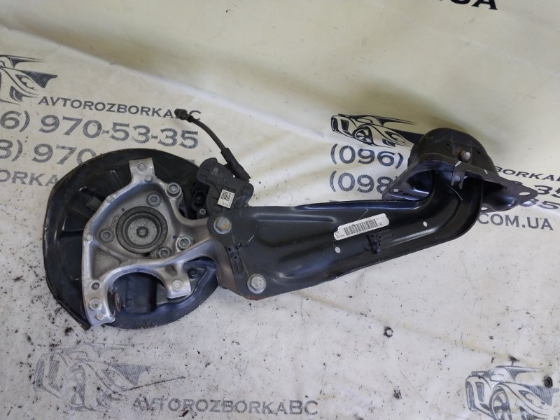 Цапфа задняя левая Tiguan 2019 ALLSPACE 2.0