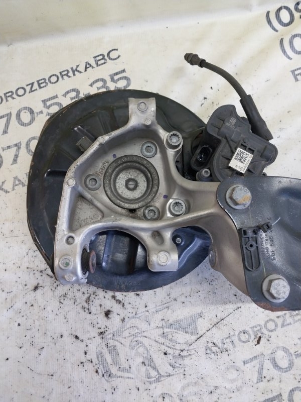 Цапфа задняя левая Tiguan 2019 ALLSPACE 2.0