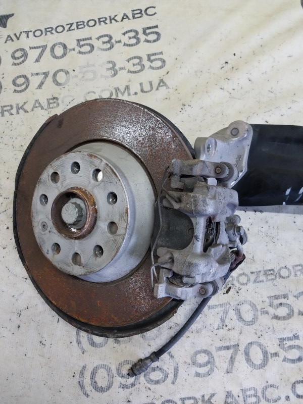 Цапфа задняя левая Tiguan 2019 ALLSPACE 2.0