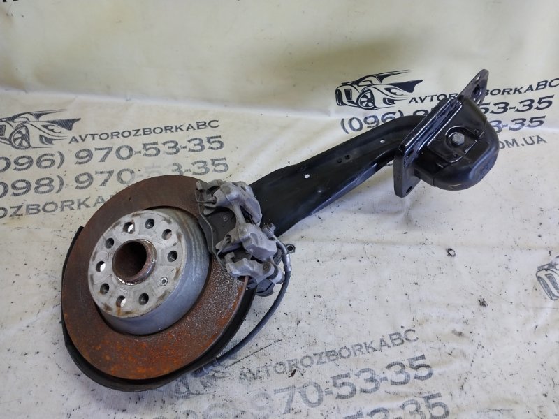 Цапфа задняя левая Tiguan 2019 ALLSPACE 2.0