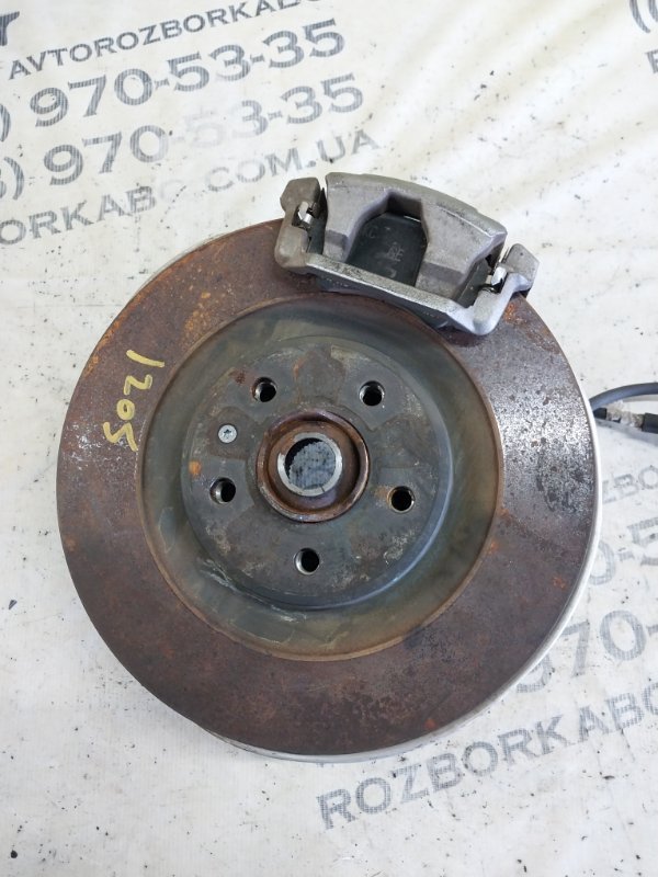 Цапфа задняя левая Q5 2021 80A 2.0