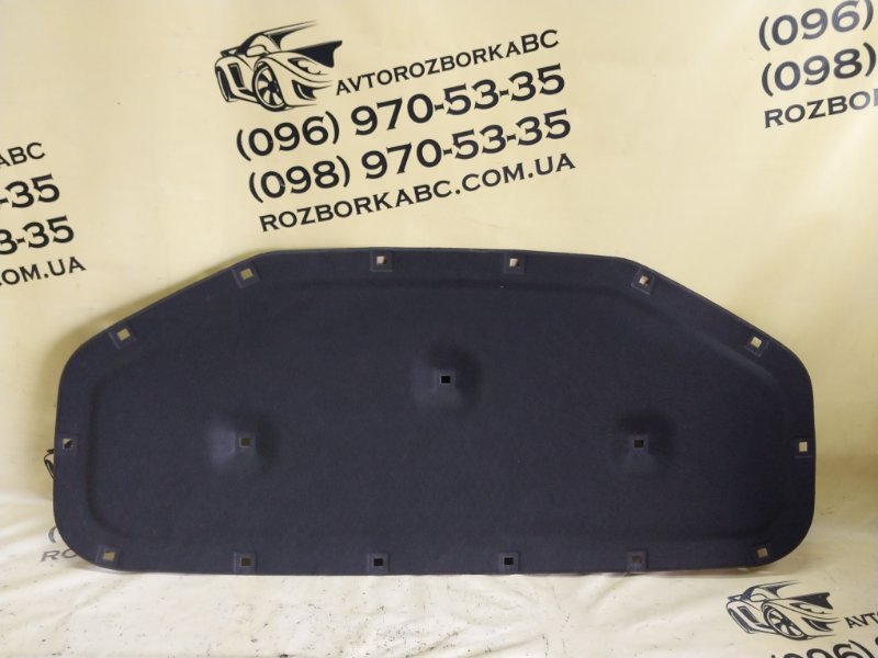 Шумоизоляция капота Volkswagen Tiguan 2025 Tiguan 3 2.0 DYLB 57N 863 831 Б/У