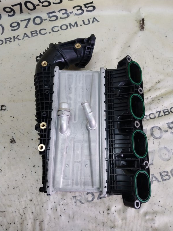 Колектор впускной Volkswagen Tiguan Tiguan 3 2.0 DYLB