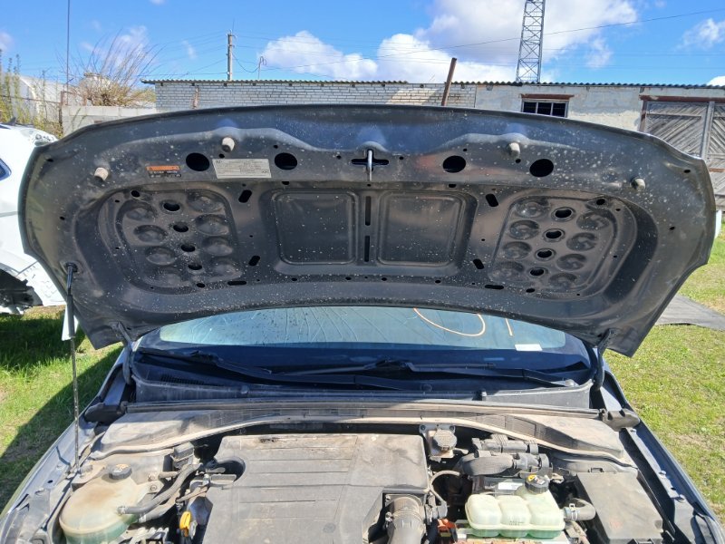 Капот Ioniq Hybrid 2019 1.6 DOHC - GDI Капот Ioniq Hybrid 2019 1.6 DOHC - GDI