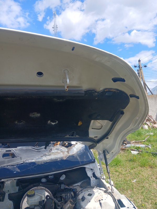 Капот Evoque 2016 L538 2.0L 16V TIVCT T/C Gen2