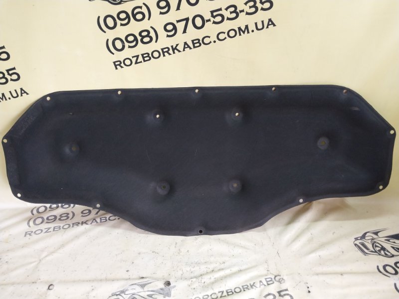 Обшивка капота X1 2020 F48 B46A20O1 Обшивка капота X1 2020 F48 B46A20O1