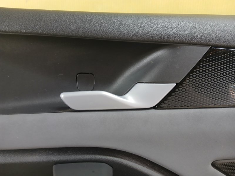 Карта двери задняя правая Volkswagen Tiguan Tiguan 3 2.0 DYLA Карта двери задняя правая Volkswagen Tiguan Tiguan 3 2.0 DYLA
