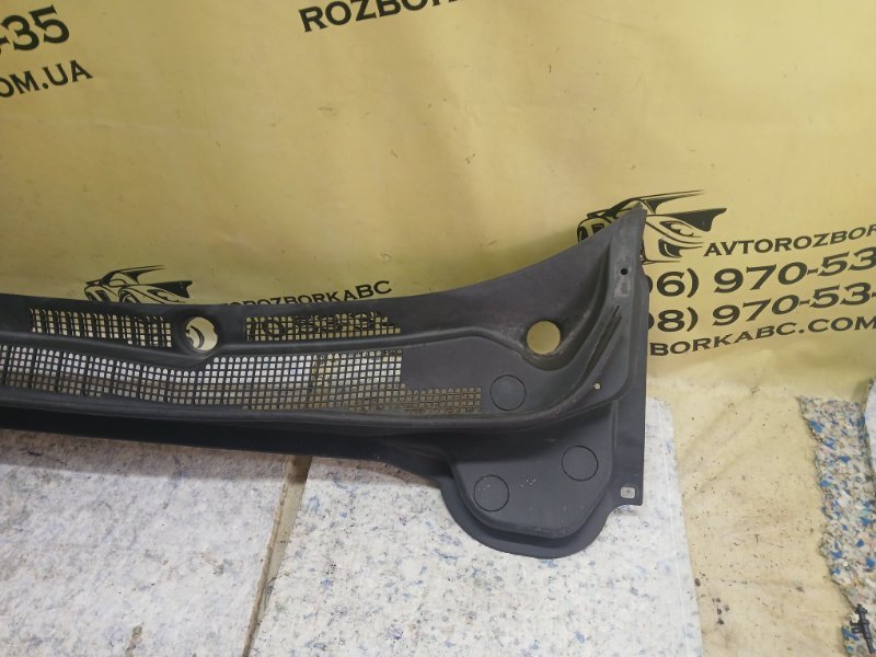 Жабо rdx 2019 2.0
