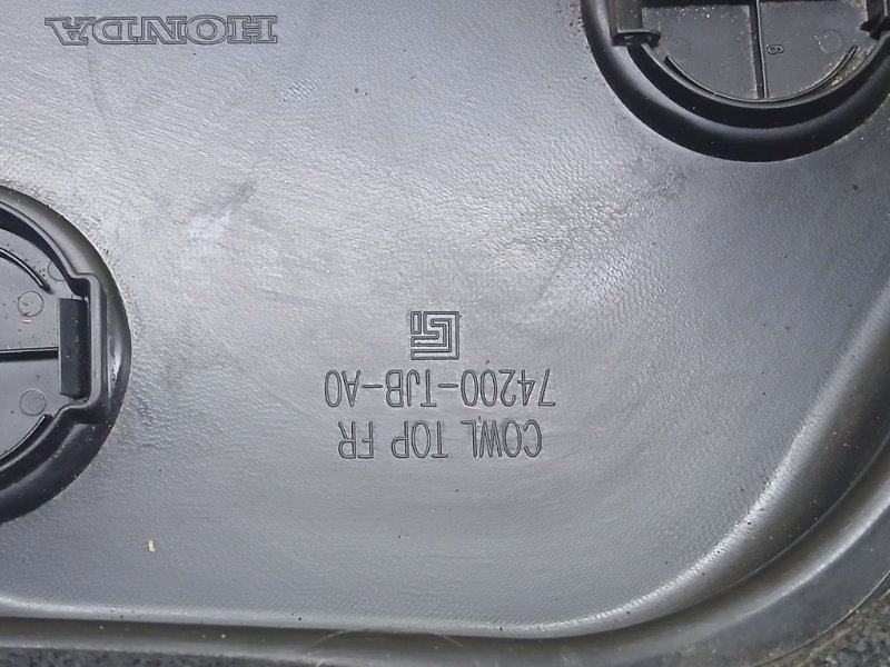 Жабо rdx 2019 2.0