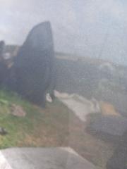 Двери задние правые Altima 2019