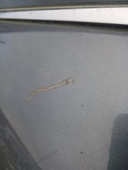 Двери передние левые Murano 2018 Z52 3.5