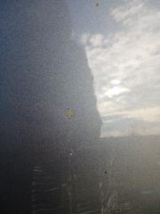 Двери задние правые Murano 2018 Z52 3.5