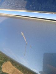 Двери задние левые Murano 2018 Z52 3.5