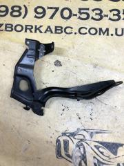 Петля капота передняя правая UX 2019 200 2.0 Петля капота передняя правая UX 2019 200 2.0