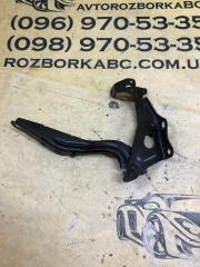 Петля капота передняя правая Lexus UX 200 2.0 Петля капота передняя правая Lexus UX 200 2.0