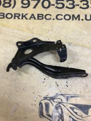 Петля капота передняя левая Lexus UX 200 2.0 Петля капота передняя левая Lexus UX 200 2.0