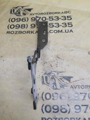 Петля капота передняя правая Q5 2019 80A 2.0 Петля капота передняя правая Q5 2019 80A 2.0