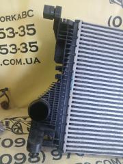 Радиатор интеркуллера GLB 2022 250 26092030411829