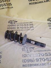 Амортизатор подвески передний Volkswagen Tiguan 2019 Б/У Амортизатор подвески передний Volkswagen Tiguan 2019