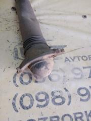 Амортизатор подвески задний Tiguan 2019 Allspace 2.0 DGUA