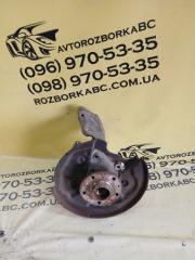 Цапфа задняя левая Volkswagen Tiguan 2019 Б/У Цапфа задняя левая Volkswagen Tiguan 2019