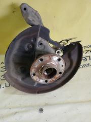 Цапфа задняя левая Tiguan 2019 Allspace 2.0 DGUA