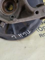 Цапфа задняя левая Tiguan 2019 Allspace 2.0 DGUA