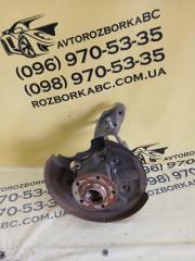 Цапфа задняя правая Volkswagen Tiguan 2019 Б/У Цапфа задняя правая Volkswagen Tiguan 2019