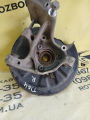 Цапфа задняя правая Tiguan 2019 Allspace 2.0 DGUA