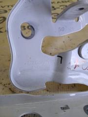 Петля капота передняя левая Q7 2020 4M DCBD