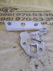 Петля капота передняя правая Q7 2020 4M DCBD