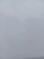 Двери задние левые XC90 2016 t27