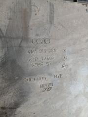 Жабо Audi Q8 3.0 DCBD