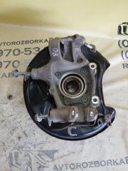 Цапфа задняя правая Q8 2019 3.0 DCBD Цапфа задняя правая Q8 2019 3.0 DCBD